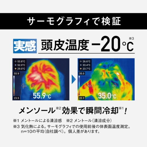 ESCO(エスコ) 100ml スカルプクーラー(頭皮冷却トニック) EA920AV-91