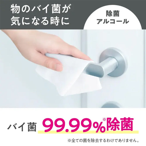 日本製紙クレシア(CRECiA) 130x170mm 除菌アルコールティシュ(120枚) 77133