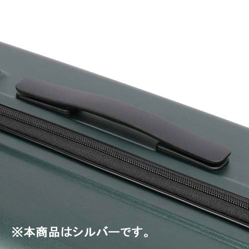 ESCO(エスコ) 400x250x580mm/54L キャリーケース(シルバー) EA927AX-6D