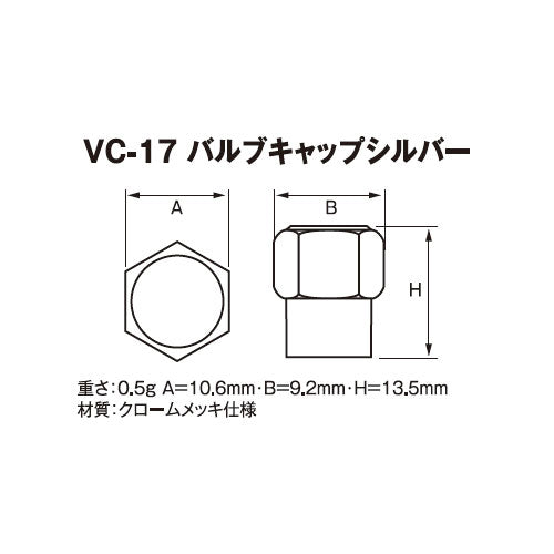チップトップ(TIPTOP) タイヤバルブ補修セット(乗用車用) TT-305