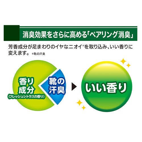 ESCO(エスコ) 280ml 靴用消臭スプレー(ペアリング消臭) EA939AG-33