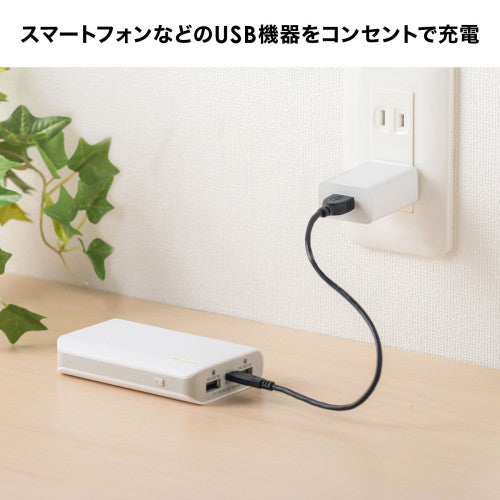 サンワサプライ AC100-240V USB充電器(1ポート/1A/白) ACA-IP86W