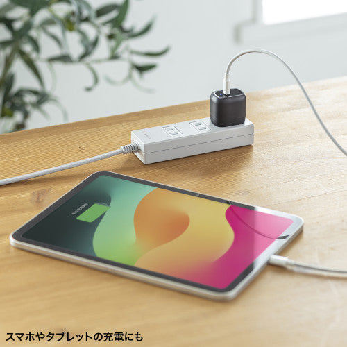サンワサプライ AC100-240V USBPD充電器(1P/3A/黒/TypeC) ACA-PD99BK