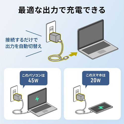 サンワサプライ AC100-240V USB充電器(PD45W/TypeC) ACA-PD109BK