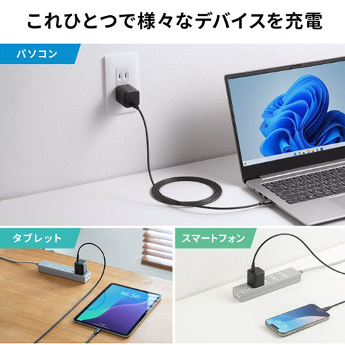 サンワサプライ AC100-240V USB充電器(PD45W/TypeC) ACA-PD109BK