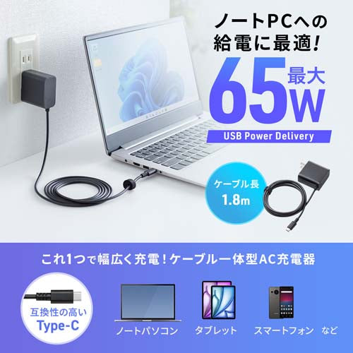 サンワサプライ AC100-240V AC充電器(USB PD対応/Type-C) ACA-PD110BK