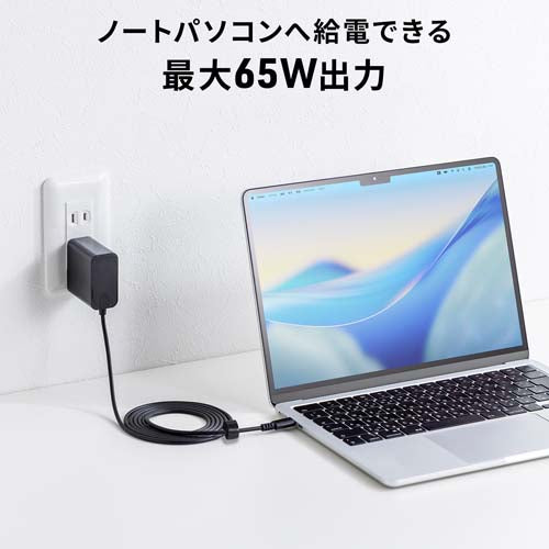 サンワサプライ AC100-240V AC充電器(USB PD対応/Type-C) ACA-PD110BK