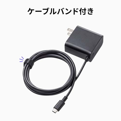 サンワサプライ AC100-240V AC充電器(USB PD対応/Type-C) ACA-PD110BK
