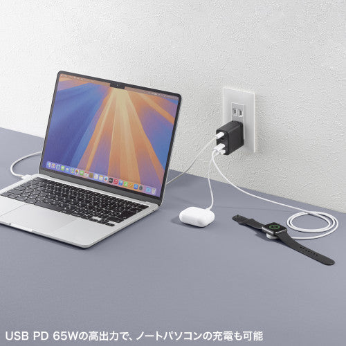 サンワサプライ AC100-240V USB充電器(USB PD) ACA-PD107BK
