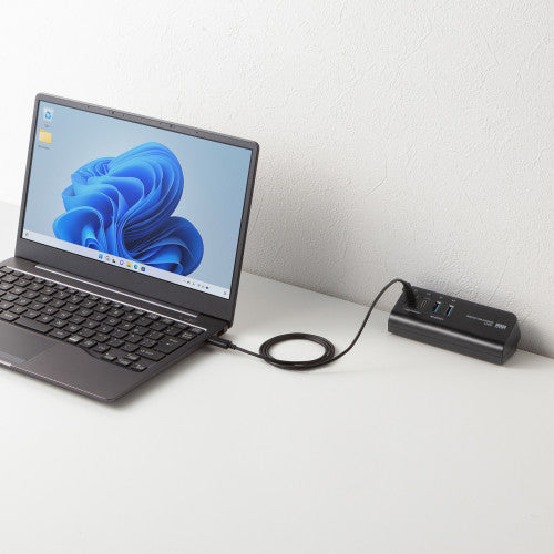 サンワサプライ AC100V/USB充電器(2+2ポート/クランプ式/黒) ACA-PD106BK