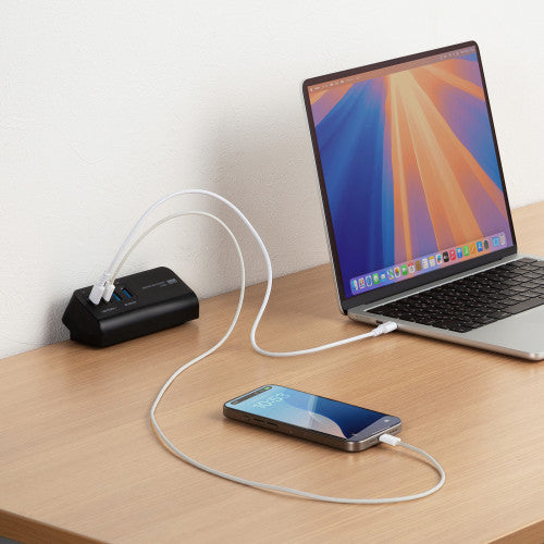 サンワサプライ AC100V/USB充電器(2+2ポート/クランプ式/黒) ACA-PD106BK