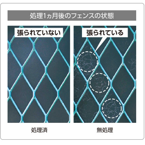 ESCO(エスコ) 450ml クモがいなくなるスプレー EA941C-15A