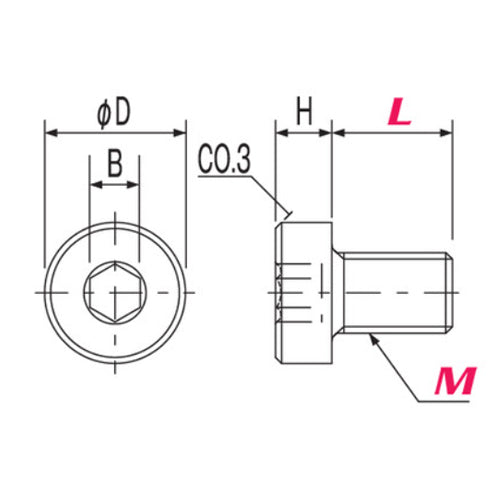 ESCO(エスコ) M3x 6mm 六角穴付低頭ボルト(PEEK/1本) EA945AS-501