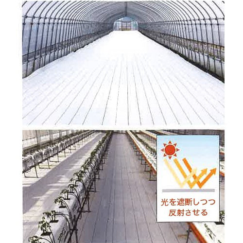 ESCO(エスコ) 2.0x50m 防草シート(白) EA952AD-307