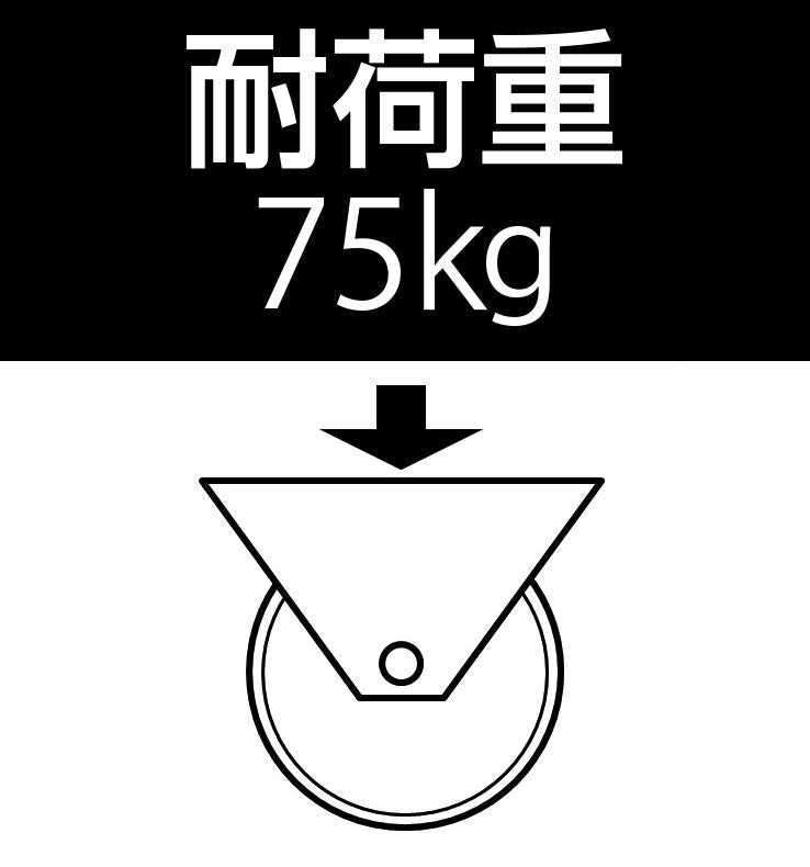 ESCO(エスコ) 75mm キャスター(自在金具・後輪ブレーキ付) EA986HW-2A
