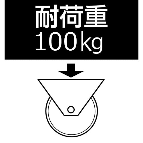東正車輌(TOSEI) 100mm キャスター(固定金具付/高導電) WK-100RBE