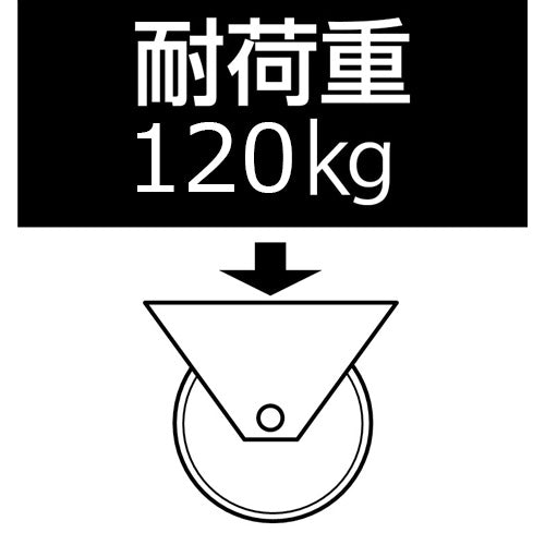 東正車輌(TOSEI) 100mm キャスター(ゴム車/固定/ステンレス製) SUS-SK-100R
