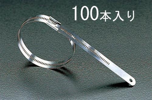 BAND-IT(バンド・イット) 11.9x450mm 結束バンド(316ステンレス製/100本) AE7049