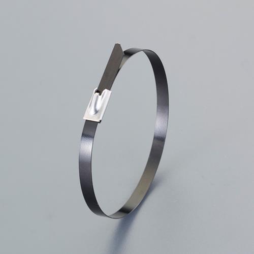 デンカエレクトロン 4.6x600mm 結束バンド(SUS316/コーティング/10本 DKST-60046-316CB