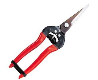 アルスコーポレーション(ARS) 190mm はさみ・摘果 300L