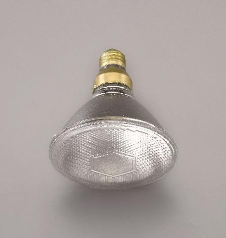 朝日電器(ELPA) AC110V/ 60W/ 75形 ビームランプ(散光) EBRF110V45W