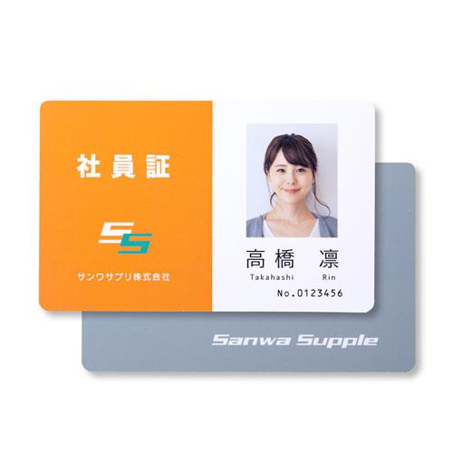 サンワサプライ 名刺・カード用 インクジェット用紙(10枚) JP-ID03N