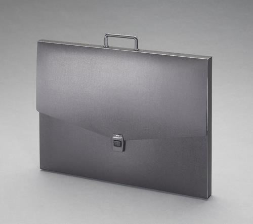 セキセイ(sedia) B4/300x390mm デザインケース ART-600