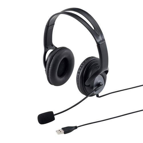 サンワサプライ 2.1m USBヘッドセット(大型ソフトイヤーパッド) MM-HSUSB17BK