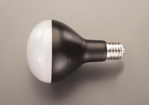 アイリスオーヤマ(IRIS OHYAMA) 27W/口金E39 作業灯用LED球 LDR27D-H-E39