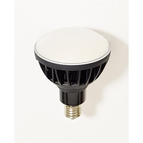 日動工業 AC100V/ 50W 電球(黒) L50V2-J110BK-50K