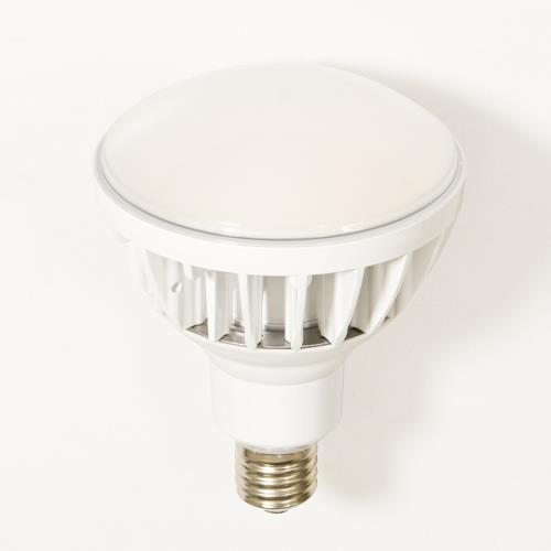 日動工業 AC100V/ 50W 電球(白) L50V2-J110W-50K