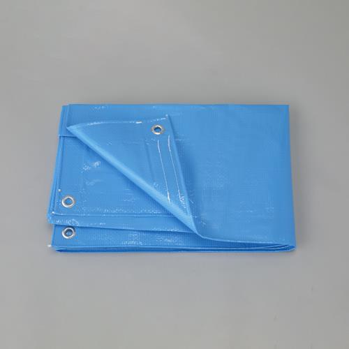 ESCO(エスコ) 3.6x5.4m/0.19mm ブルーシート(#2500/防炎) EA911AB-165