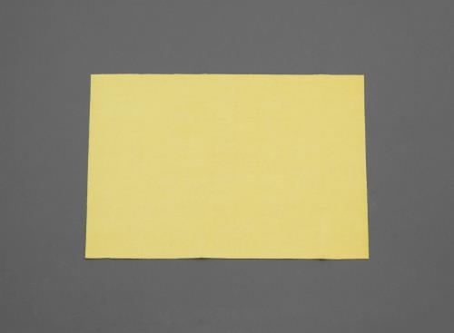 ESCO(エスコ) 200x300mm 錆除りクロス(防錆) EA929BA-1