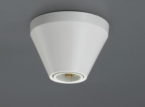 パナソニック(Panasonic) 250V/ 6A レセップ(E26口金) WW4404WK