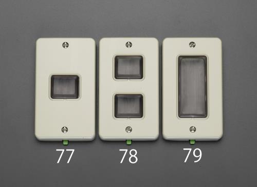 パナソニック(Panasonic) 防雨スイッチプレート(2個用) WN7942