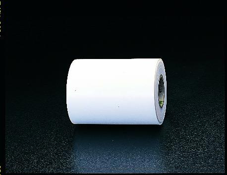 日東電工 300x0.05mm/10m フッ素樹脂フィルム No.900UL
