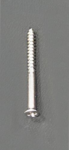 ESCO(エスコ) 2.0x27mm 木工用極細ビス(450本) EA949FC-227