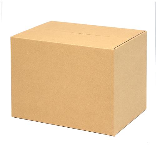 ESCO(エスコ) 310x220x230mm/A4 ダンボール(無地/20枚) EA995BS-33A