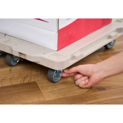 アイリスオーヤマ（IRIS OHYAMA） 421x281mm/100kg ﾄﾞｰﾘｰ(連結式/ﾌﾞﾚｰｷ付) RMH-421