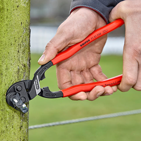 KNIPEX（ｸﾆﾍﾟｯｸｽ） 250mm 強力型ミニクリッパー(ｽﾄﾚｰﾄ) 7131250