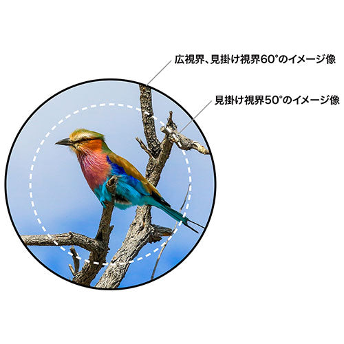ニコン（Nikon） x10/42mm 双眼鏡(防水・防曇) PROSTAFF P7 10x42