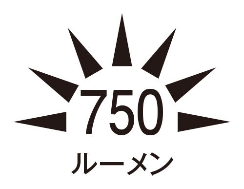 ESCO（エスコ） [充電式] ＬＥＤライト(750ﾙｰﾒﾝ/ﾏｸﾞﾈｯﾄ付) EA758C-159A
