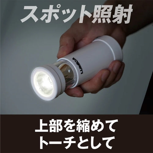 ESCO（エスコ） [充電式] ランタン/ＬＥＤ(2WAY) EA758CV-101