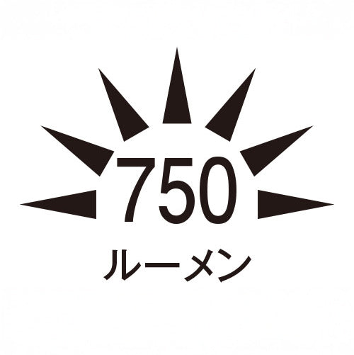 ESCO（エスコ） [充電式] ヘッドライト/ＬＥＤ(ﾊﾞﾝﾄﾞﾚｽ) EA758RY-101