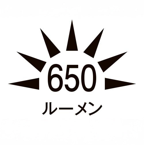 ESCO（エスコ） [単4x4本] フラッシュライト/ＬＥＤ EA758RY-44