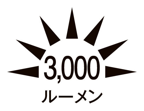 ESCO（エスコ） [充電式] フラッシュライト/LED(ﾎﾙｽﾀｰ付) EA758RY-4S