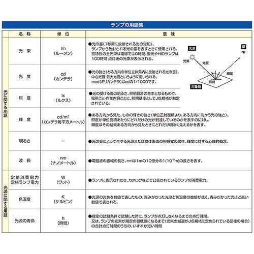 ヤザワコーポレーション AC100V/32形 Ｈｆ蛍光灯(昼白色/10本) FHF32EXN
