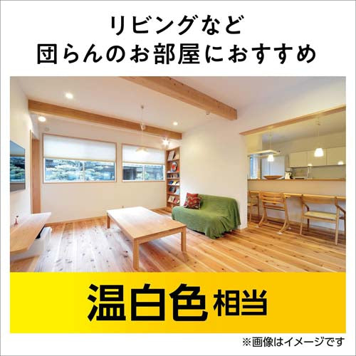 パナソニック（Panasonic） 40形/4.3W/E17 電球/ＬＥＤ(温白色) LDA4WWGE17SK4