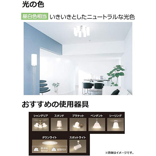 パナソニック（Panasonic） 60形/6.2W/E17 電球/ＬＥＤ(T形･昼白色) LDT6NGE17ST6