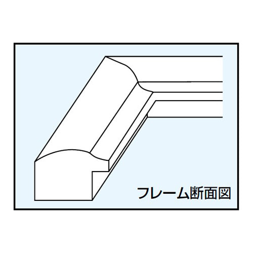 ナカバヤシ Ａ３/Ｂ４ デジタルプリントフレーム(樹脂) DGF-DPA3/V